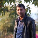 Hari Singh